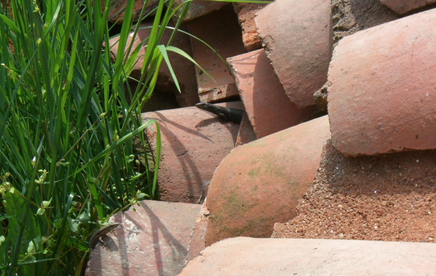 Poncet JS Concentrateur-détail.jpg