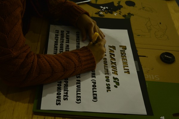 Fichier:Pochoir fiona 1.jpg