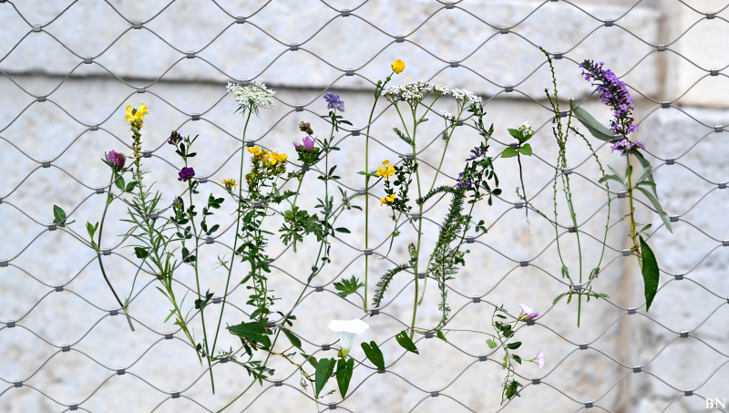 Fichier:Nairaud B Massacre.png