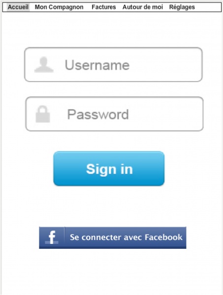 Fichier:Page accueil.jpg