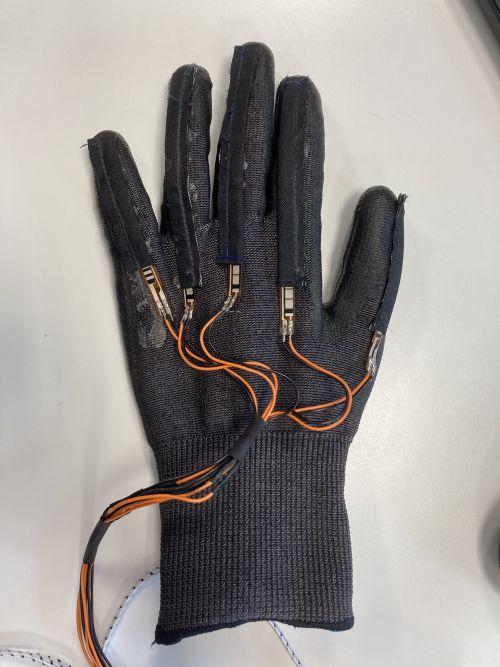 Nouveau dataglove.JPG