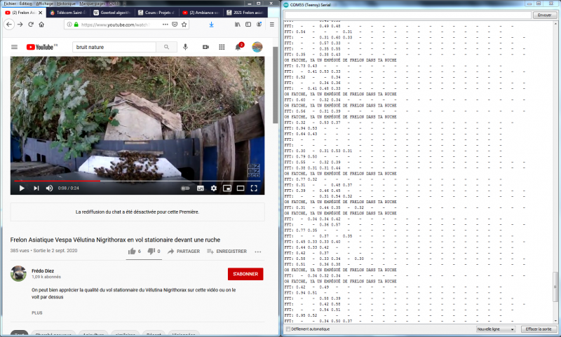 Fichier:Test fft video ruche frelon.PNG