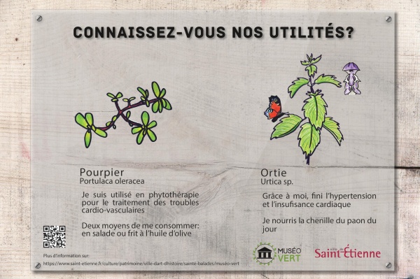 Cartel d'information