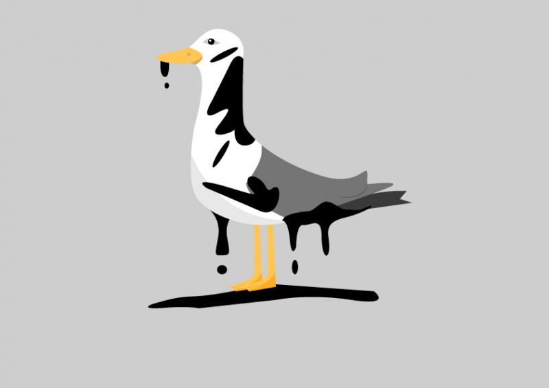 Fichier:Mouette compagnon.jpg