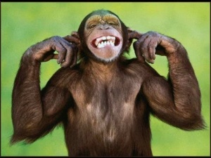 Photo manquante.jpeg