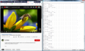 Test fft video abeille.PNG