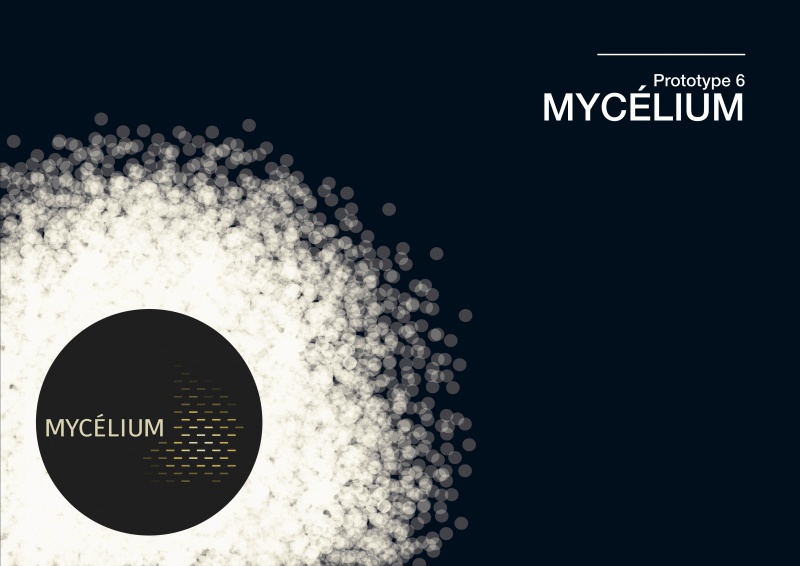 Fichier:Illuminov Logo Projet Mycélium.jpg