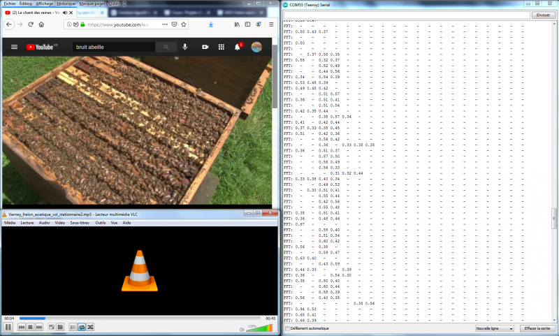 Fichier:Test fft video ruche frelon2.PNG