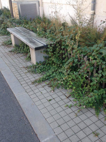 Fichier:Betton Thomas bancIRAM.jpg