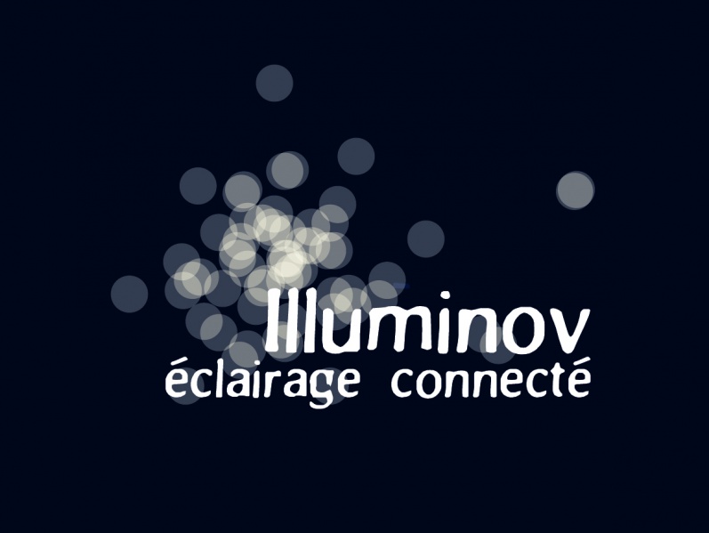Fichier:Logo Workshop Illuminov.jpg